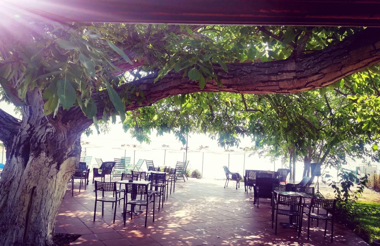 Apartmani Alex Beach Dojran Экстерьер фото